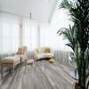 Kronotex Amazone Aqua Harbour Oak Grey Laminate Flooring 10mm Thumbnail